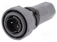 Connector: circular; plug; male; PIN: 2; 25A; 600V; Buccaneer 7000 BULGIN