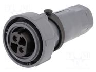 Connector: circular; plug; female; PIN: 2; Buccaneer 7000; UL94V-0 BULGIN