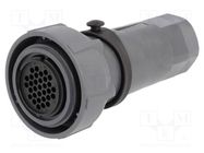 Connector: circular; plug; female; PIN: 32; w/o contacts; for cable BULGIN