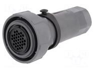 Connector: circular; plug; female; PIN: 32; 3A; 200V; w/o contacts BULGIN
