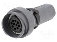 Connector: circular; plug; female; PIN: 10; w/o contacts; for cable BULGIN