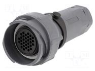 Connector: circular; plug; female; PIN: 32; w/o contacts; for cable BULGIN