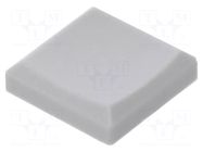 Cap; light grey; MDP C&K