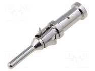 Contact; male; Buccaneer 6000; brass; nickel plated; 18AWG÷14AWG BULGIN