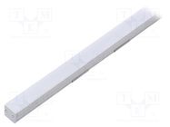 Profiles for LED modules; white; natural; L: 1m; FLOOR12; recessed 