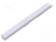 Profiles for LED modules; white; natural; L: 1m; FLOOR12; recessed TOPMET