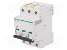 Circuit breaker; 400VAC; Inom: 40A; Poles: 3; Charact: C; 10kA; IP20 SCHNEIDER ELECTRIC
