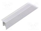 Profiles for LED modules; white; natural; L: 1m; FRAME14; recessed TOPMET