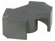 Core: ferrite; RM/I; PF; 5700nH; 13900mm3; 198mm2; 2pcs. FERROXCUBE