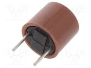 Fuse: fuse; time-lag; 315mA; 250VAC; THT; TR5; copper; 887.100; box 