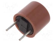 Fuse: fuse; 1A; 250VAC; time-lag; TR5; THT; 887.100; copper; 5.08mm ESKA