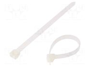 Cable tie; L: 150mm; W: 7.6mm; natural; polyamide; 533N; -40÷85°C AKS ZIELONKA