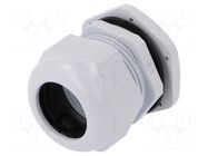 Cable gland; PG36; IP68; polyamide; grey PAWBOL