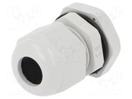 Cable gland; PG11; IP68; polyamide; grey PAWBOL