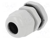 Cable gland; PG13,5; IP68; polyamide; grey PAWBOL
