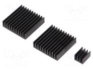 Heatsink: extruded; grilled; Raspberry Pi; black; aluminium TEKO