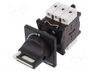 Main emergency switch-disconnector; Poles: 3; on panel; 25A; IP65 SCHNEIDER ELECTRIC