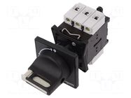 Main emergency switch-disconnector; Poles: 3; on panel; 32A; IP65 SCHNEIDER ELECTRIC
