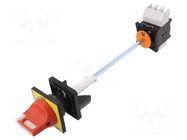 Main emergency switch-disconnector; Poles: 3; on panel; 40A; IP65 SCHNEIDER ELECTRIC