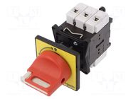 Main emergency switch-disconnector; Poles: 3; on panel; 20A; IP65 SCHNEIDER ELECTRIC