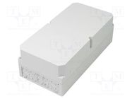 Enclosure: junction box; X: 300mm; Y: 600mm; Z: 209mm; polystyrene SPELSBERG