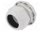 Cable gland; M63; 1.5; IP68; polyamide; light grey RITTAL