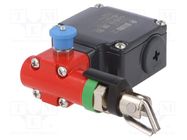 Safety switch: singlesided rope switch; NC x2; FL; -25÷80°C; IP67 PIZZATO ELETTRICA