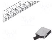 Switch: detecting; Pos: 2; SPST; 0.01A/5VDC; Leads: for PCB; 500mΩ PANASONIC