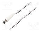 Cable; 2x0.5mm2; wires,DC 5,5/1,7 plug; straight; white; 1.5m BQ CABLE