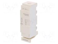 Surge arrester; RC element; Series: TeSys D Everlink; side SCHNEIDER ELECTRIC