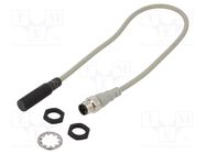Sensor: inductive; OUT: 2-wire NO; 2mm; 12÷24VDC; M12; IP67; 100mA AUTONICS