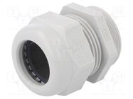 Cable gland; PG36; IP68; polyamide; light grey; V-TEC PG OBO BETTERMANN