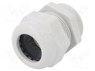 Cable gland; PG29; IP68; polyamide; light grey; V-TEC PG OBO BETTERMANN