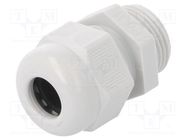 Cable gland; PG11; IP68; polyamide; light grey; V-TEC PG OBO BETTERMANN