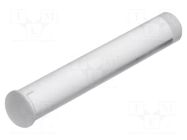 Fiber for LED; Ø3mm; L: 19mm; round; Front: convex; straight; PLP2 BIVAR