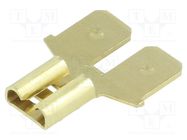 Terminal: flat; 6.3mm; 0.8mm; 1 x female,2 x male; none; brass TE Connectivity