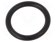 O-ring; 10pcs; Gasket: NBR caoutchouc FISNAR