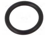 O-ring; 10pcs; Gasket: NBR caoutchouc FISNAR