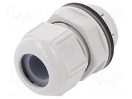 Cable gland; IP68; polyamide; light grey; push-in; SKINTOP® LAPP