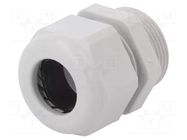 Cable gland; PG21; IP54; polyamide; light grey; UL94V-0; HSK-K HUMMEL