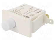 Switch: door; Pos: 2; SPDT; 10A/125VAC; white; on panel HONEYWELL