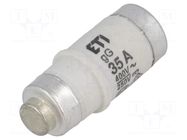 Fuse: fuse; 35A; 400VAC; 250VDC; gG; ceramic; D02; D0 ETI POLAM