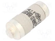 Fuse: fuse; gG; 63A; 400VAC; 250VDC; ceramic; D02; D0 ETI POLAM