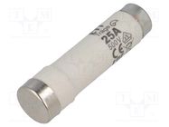 Fuse: fuse; gG; 25A; 500VAC; 500VDC; ceramic; DI; D ETI POLAM