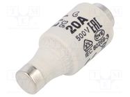 Fuse: fuse; gG; 20A; 500VAC; 250VDC; ceramic; DII; D ETI POLAM