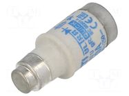 Fuse: fuse; 20A; 400VAC; 250VDC; gR; ceramic; D02; D0 ETI POLAM