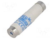 Fuse: fuse; 20A; 500VAC; 315VDC; gR; ceramic; DI; D ETI POLAM