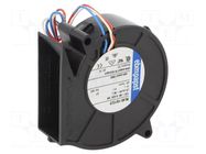 Fan: DC; blower; 12VDC; 75x75x27mm; 28m3/h; 51dBA; ball; 4400rpm EBM-PAPST