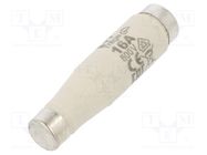 Fuse: fuse; gG; 16A; 500VAC; 500VDC; ceramic; DI; D ETI POLAM