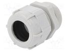 Cable gland; with long thread; PG29; IP68; polyamide; grey BM GROUP
